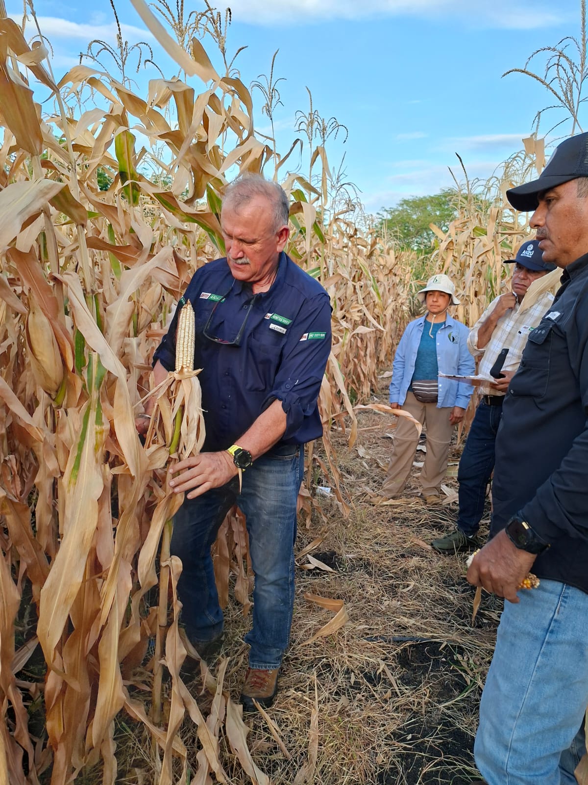Día de Campo y Validación Técnica